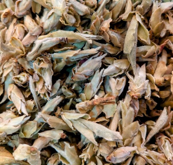 Té Blanco Brotes Salvajes de Yunnan
