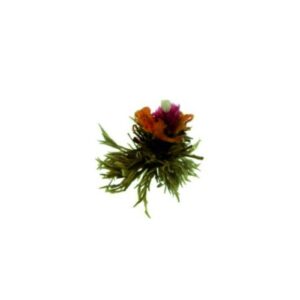 Té blanco Flor Corazón de Amor